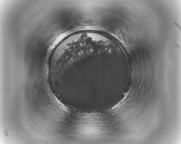 X0000093401367200711020926