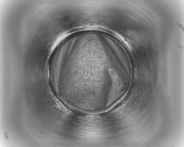 X0000093401368200711020926