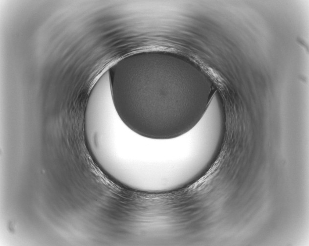 X0000093401369200711020926