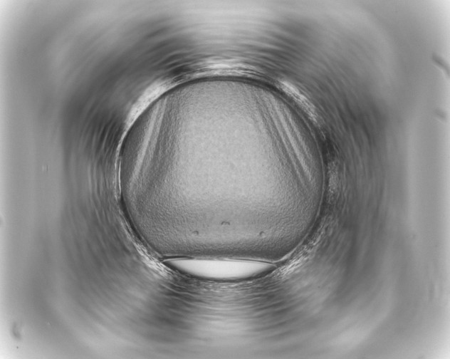 X0000093401370200711020926