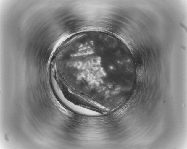 X0000093401371200711020926