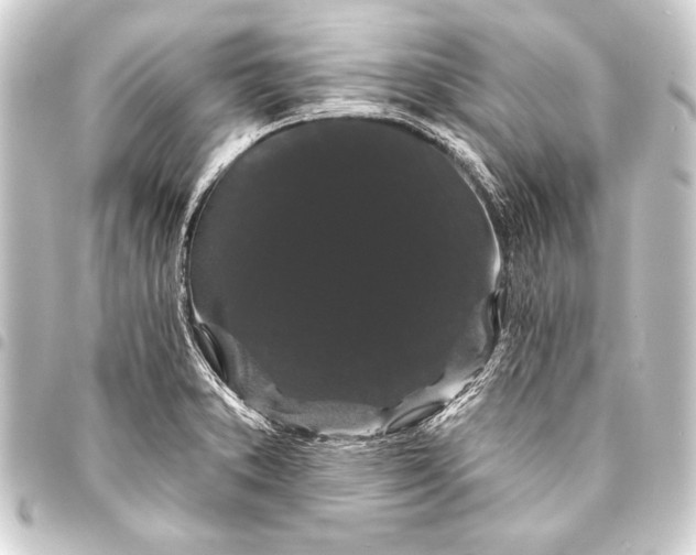 X0000093401373200711020926