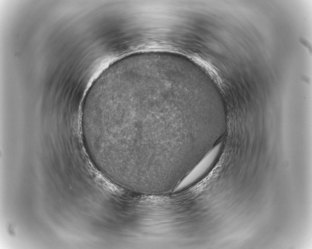 X0000093401374200711020926