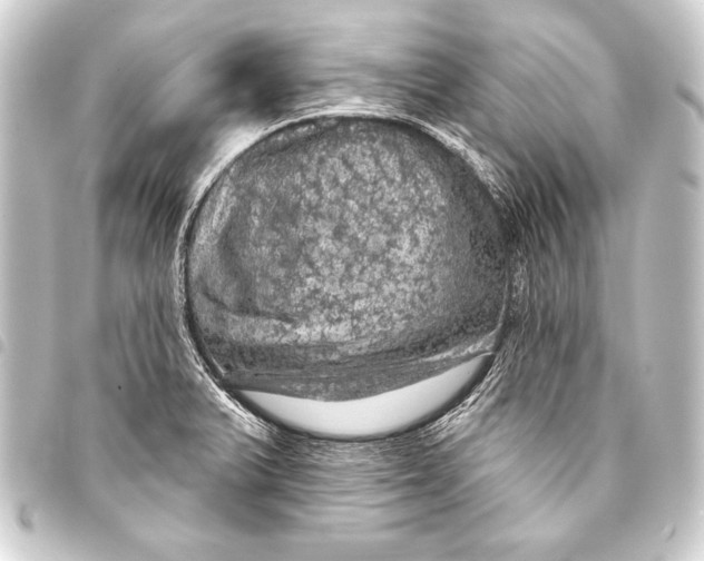 X0000093401375200711020926