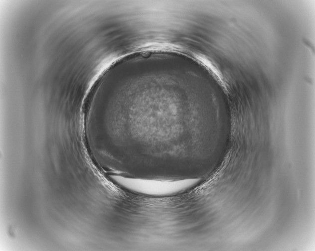 X0000093401376200711020926