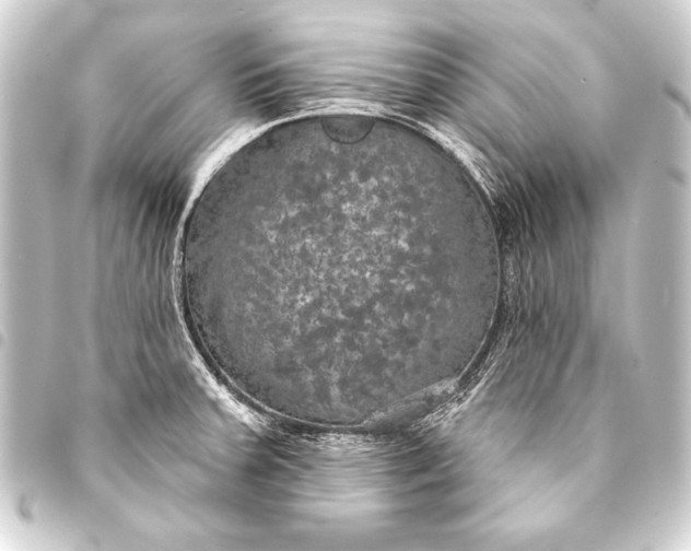 X0000093401379200711020926