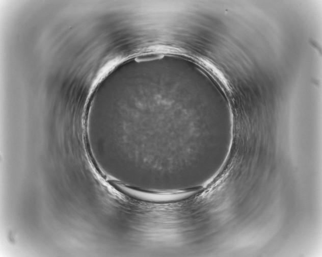 X0000093401381200711020926