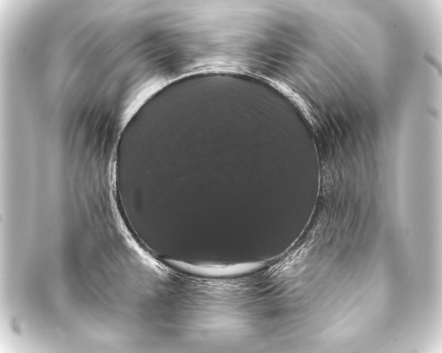 X0000093401383200711020926