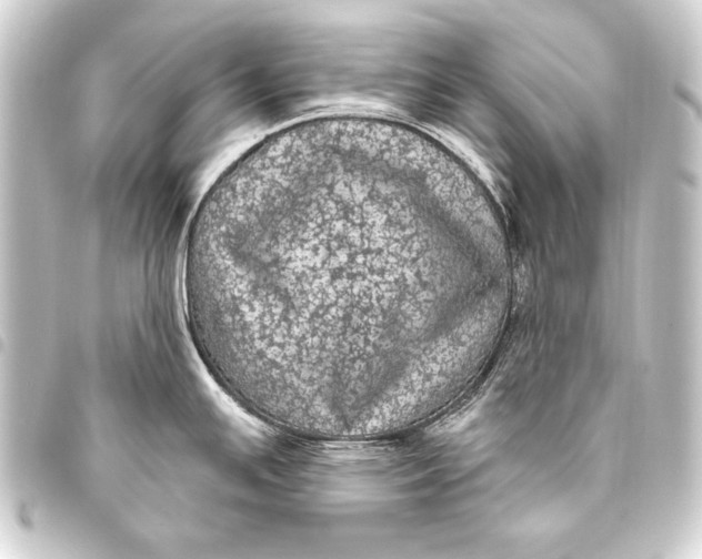 X0000093401391200711020926