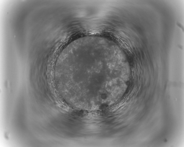 X0000093401393200711020925