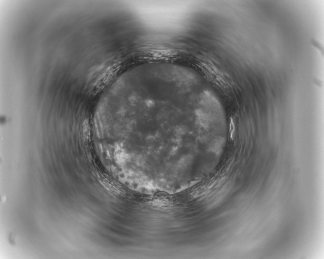 X0000093401395200711020925