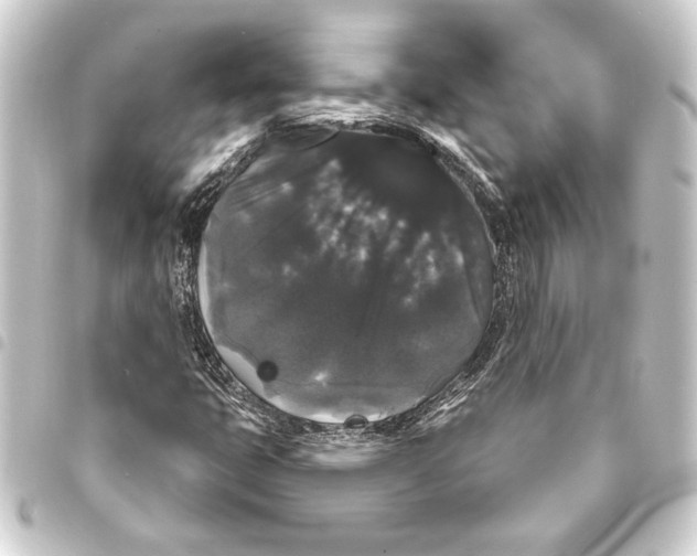 X0000093401399200711020925