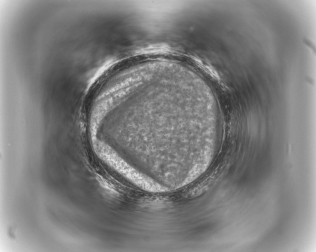 X0000093401400200711020925