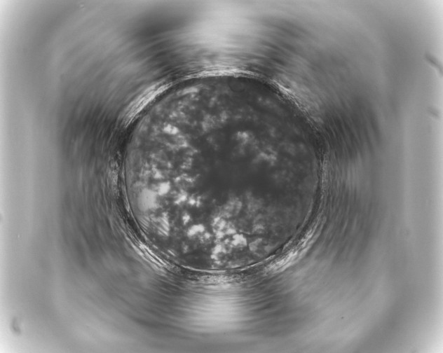 X0000093401401200711020925