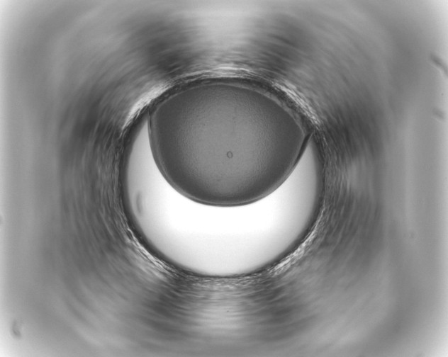 X0000093401402200711020925