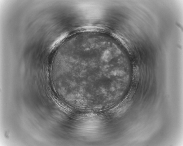 X0000093401403200711020925