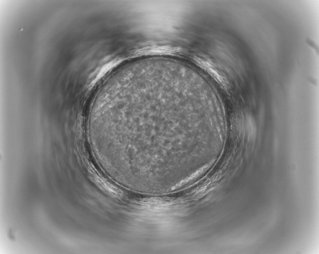 X0000093401404200711020925