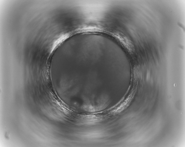 X0000093401405200711020925