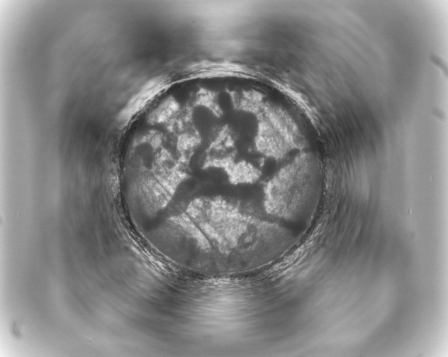 X0000093401407200711020925