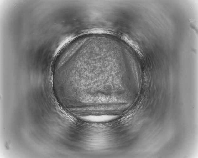 X0000093401408200711020925