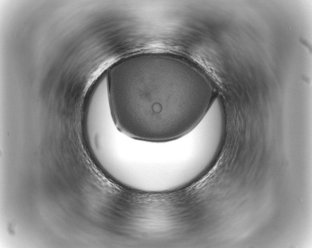 X0000093401410200711020925