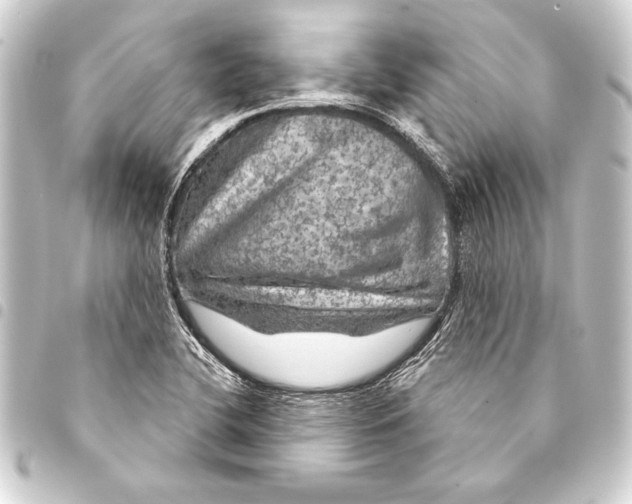 X0000093401412200711020925