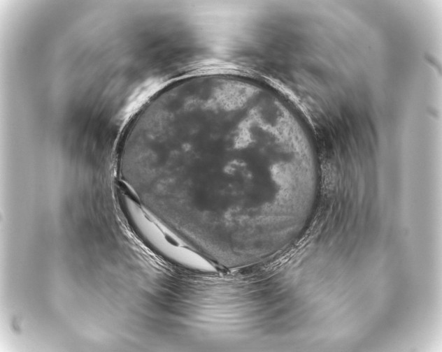 X0000093401415200711020925