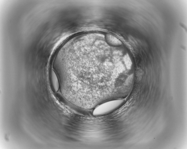 X0000093401416200711020925