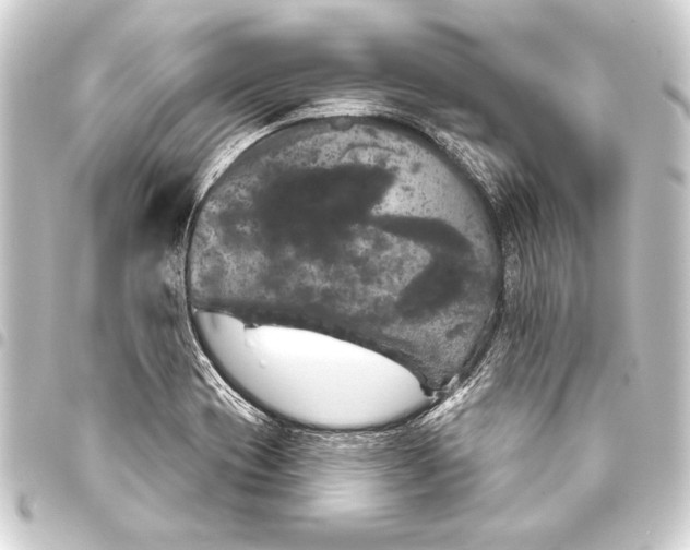 X0000093401417200711020925