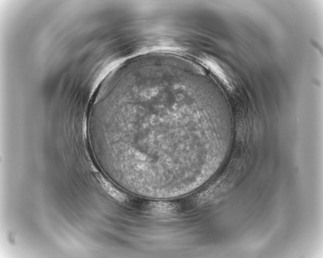 X0000093401420200711020926