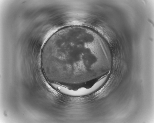 X0000093401421200711020926