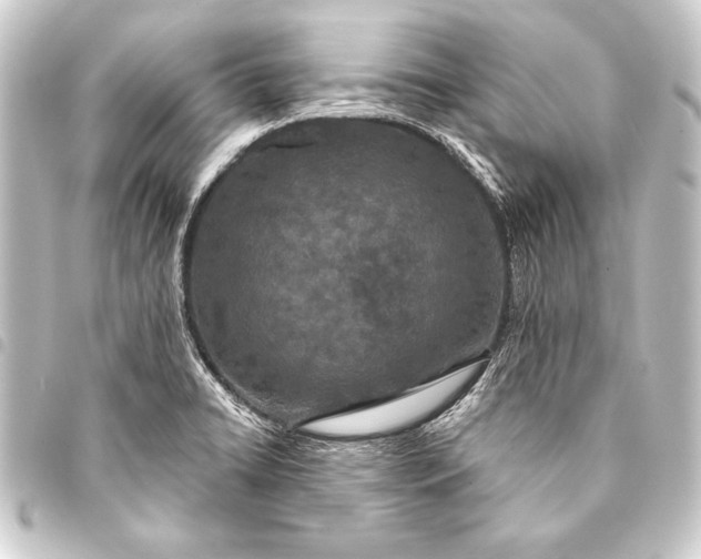 X0000093401422200711020926