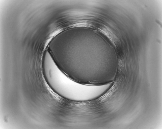 X0000093401426200711020926