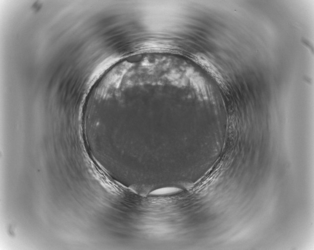 X0000093401427200711020926