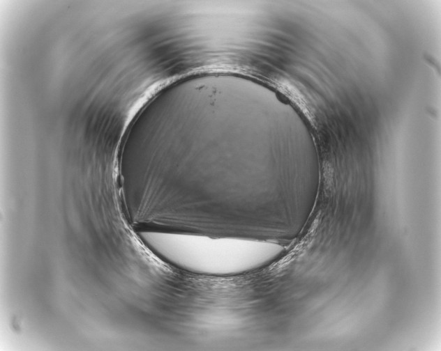 X0000093401428200711020926