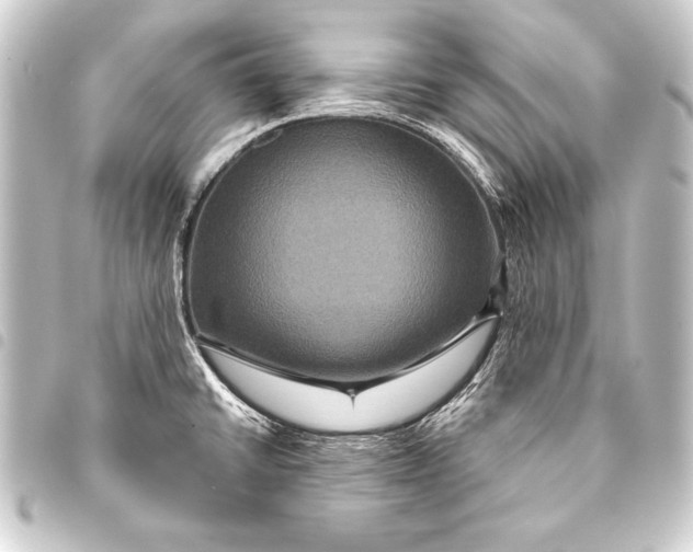 X0000093401430200711020926