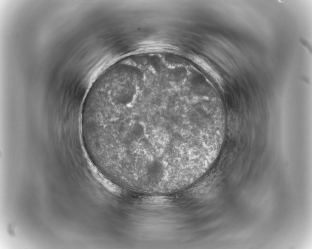 X0000093401431200711020926