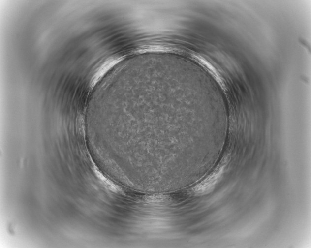 X0000093401433200711020926