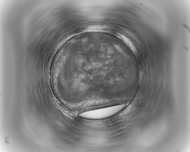 X0000093401435200711020926