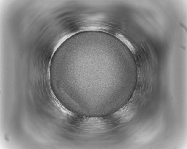 X0000093401436200711020926