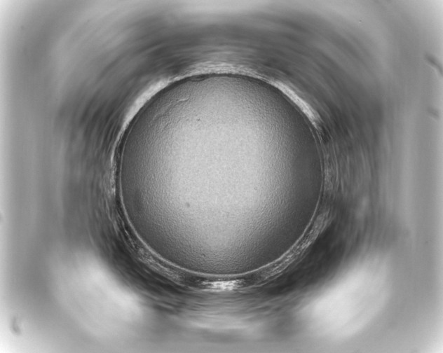 X0000093401438200711020926