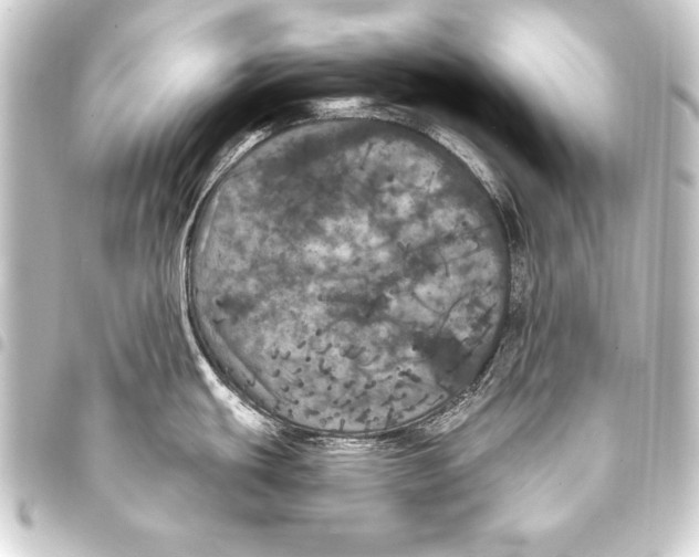 X0000093401439200711020926