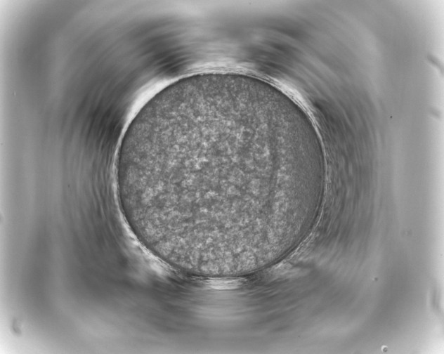 X0000093401440200711020926