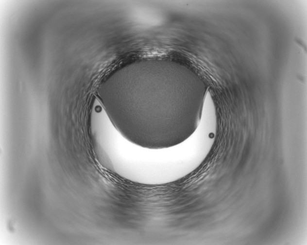 X0000093401441200711020925