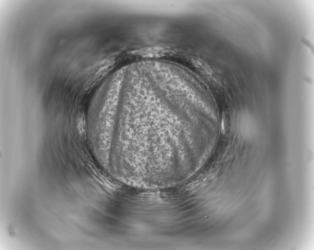 X0000093401444200711020925