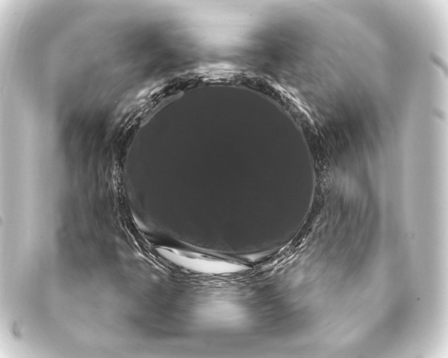 X0000093401445200711020925