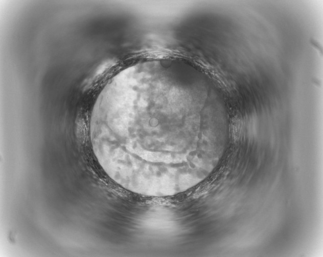 X0000093401446200711020925