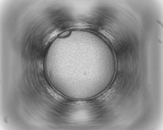 X0000093401451200711020925