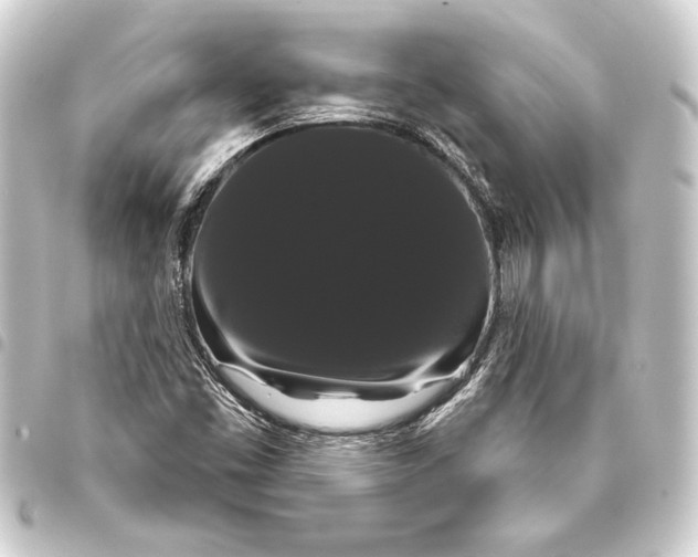 X0000093401453200711020925