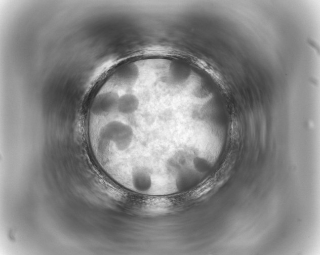 X0000093401454200711020925